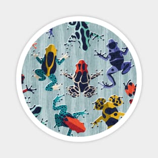 Quirky dart frogs dance // pattern // duck egg blue textured background brightly multicoloured poison amphibians Magnet